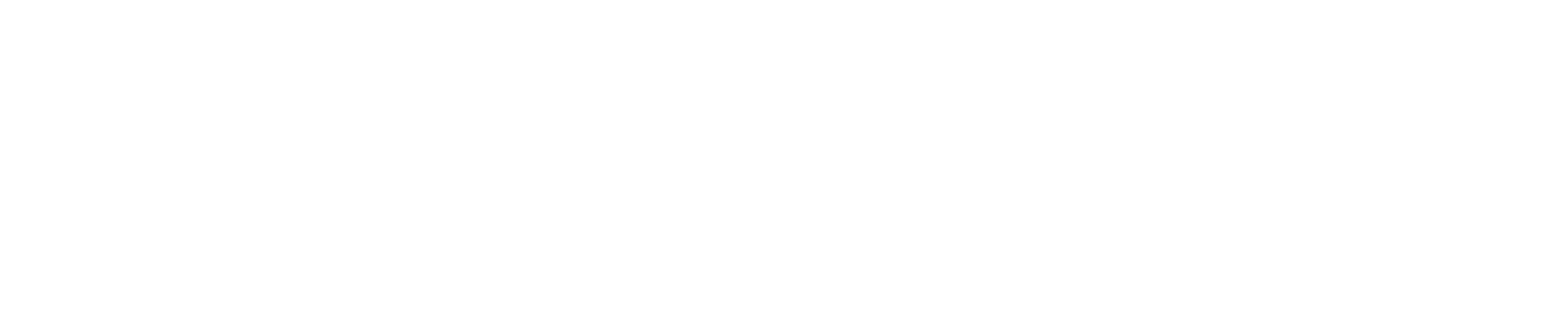 XYZONE Logo Mobile